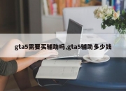 gta5需要买辅助吗,gta5辅助多少钱