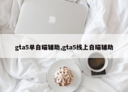 gta5单自瞄辅助,gta5线上自瞄辅助