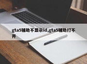 gta5辅助不显示id,gta5辅助打不开