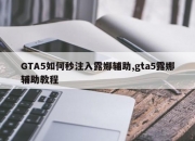 GTA5如何秒注入露娜辅助,gta5露娜辅助教程